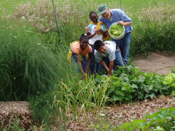 Vince and camp kids in Vince's garden